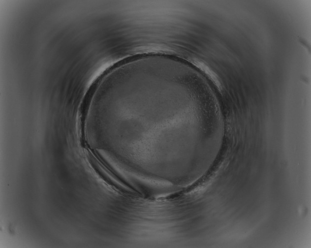 X0000093100983200709261227