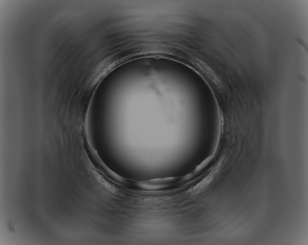 X0000093100985200709261227