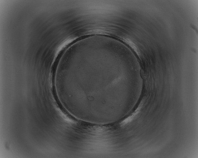 X0000093100987200709261227
