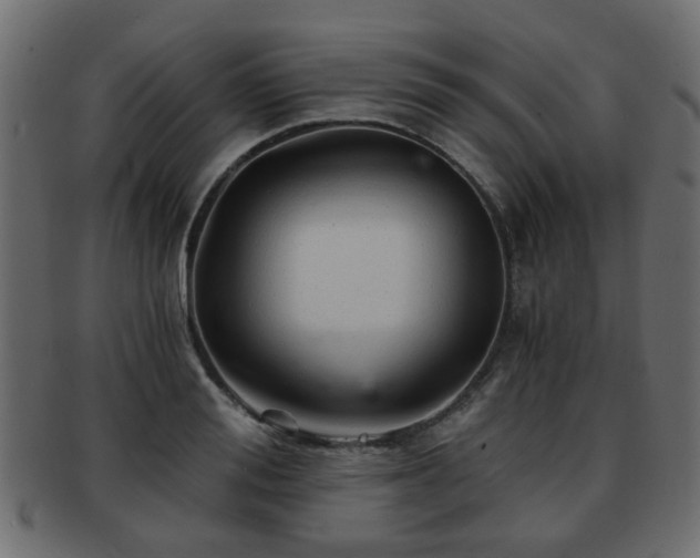 X0000093100988200709261227
