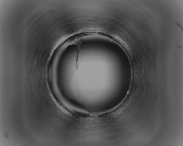 X0000093100989200709261227