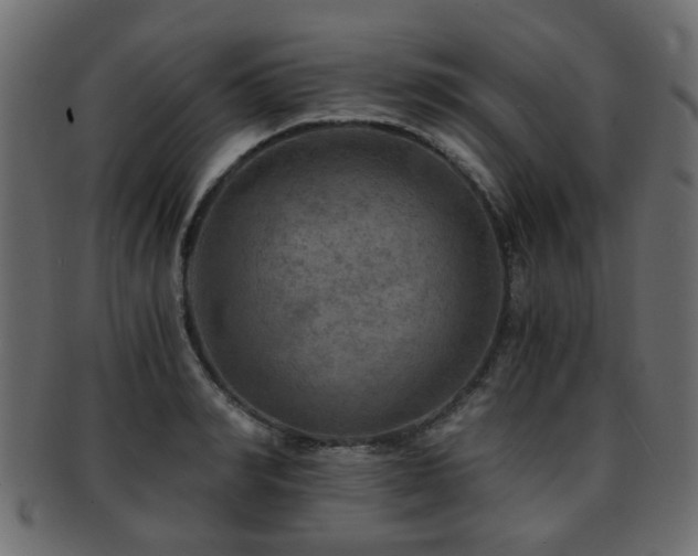 X0000093100990200709261226