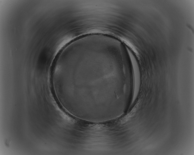 X0000093100991200709261226