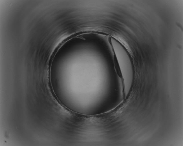 X0000093100992200709261226