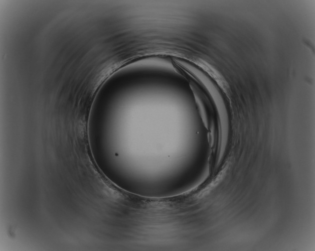 X0000093100993200709261226
