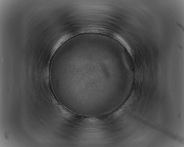 X0000093100994200709261226