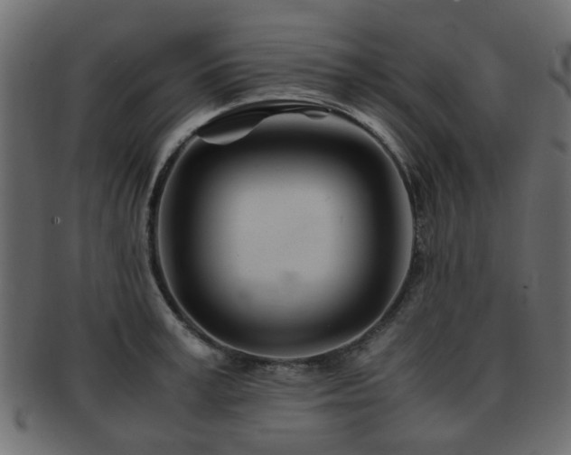 X0000093100995200709261226