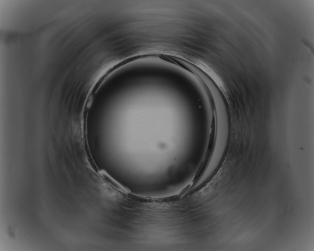 X0000093100996200709261226