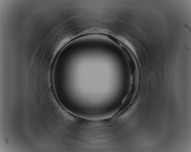 X0000093100997200709261226