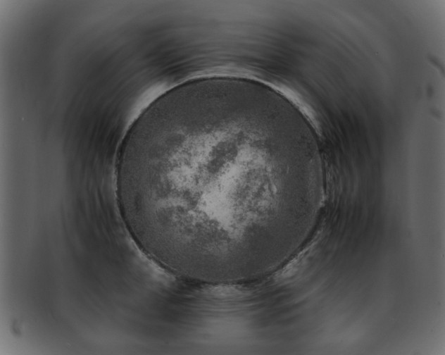 X0000093100998200709261226