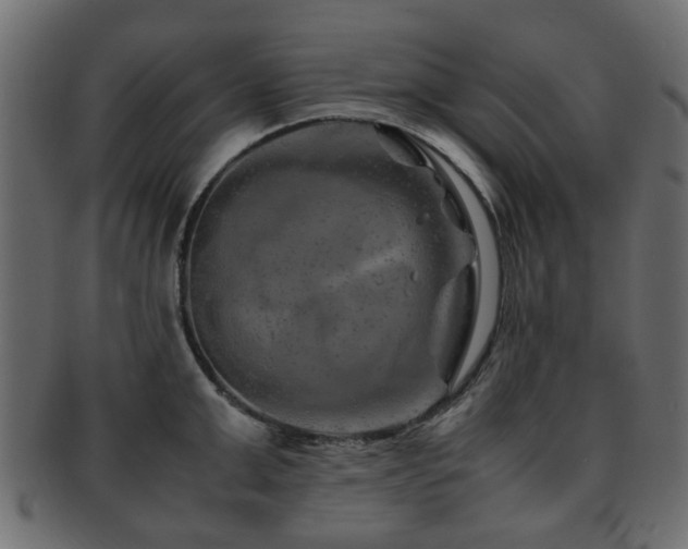 X0000093100999200709261226
