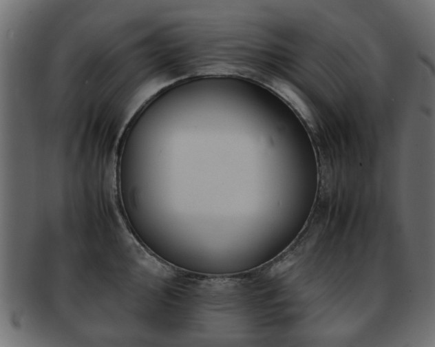 X0000093101000200709261226