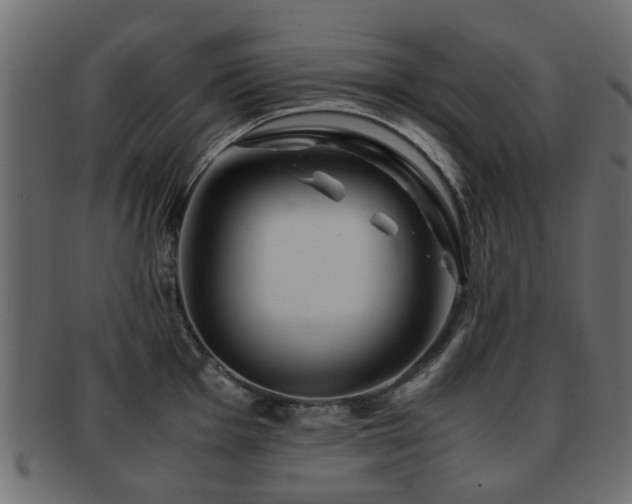 X0000093101001200709261226