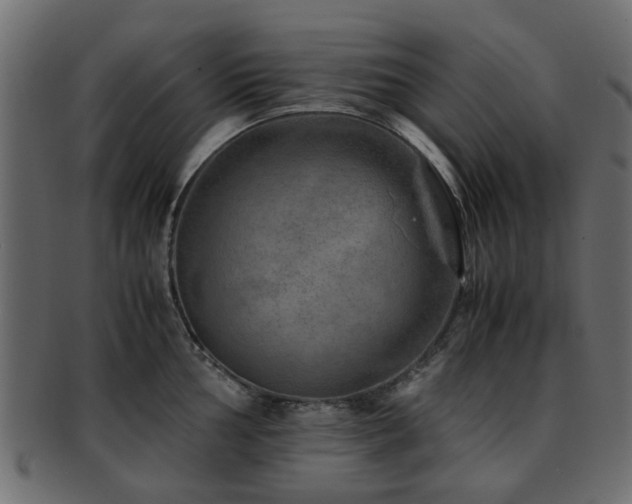 X0000093101002200709261226