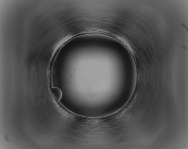 X0000093101003200709261226