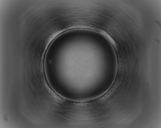 X0000093101004200709261226