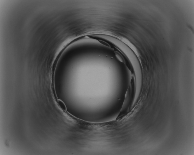 X0000093101005200709261226