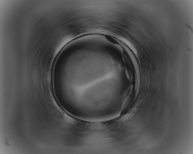 X0000093101007200709261226
