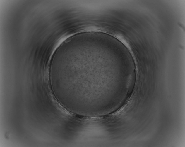 X0000093101008200709261226