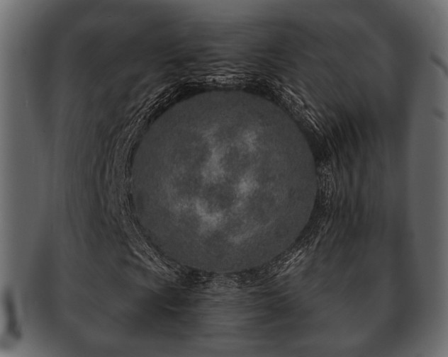 X0000093101009200709261226