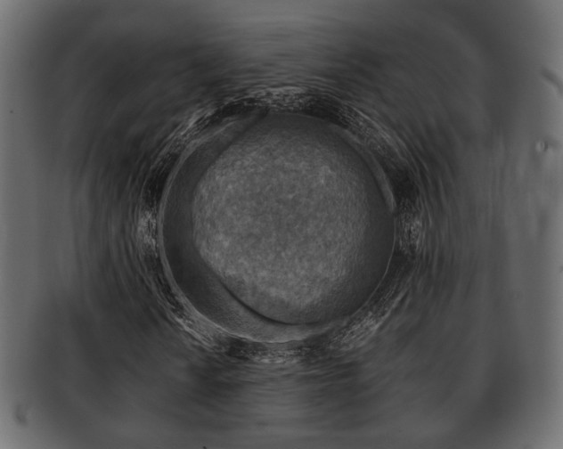 X0000093101010200709261226