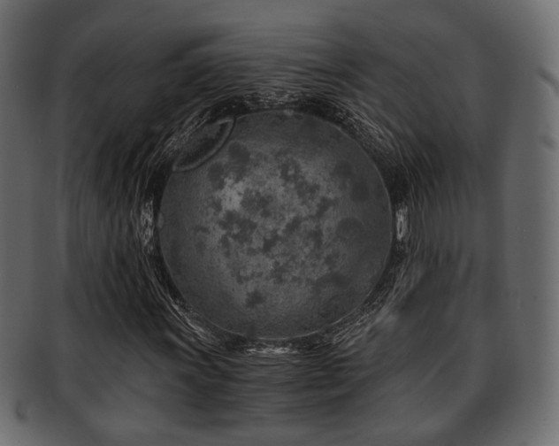 X0000093101011200709261226