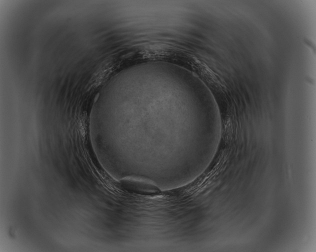 X0000093101012200709261226
