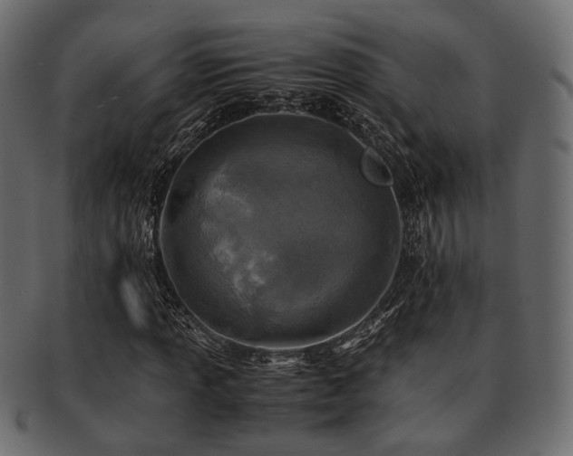 X0000093101013200709261226