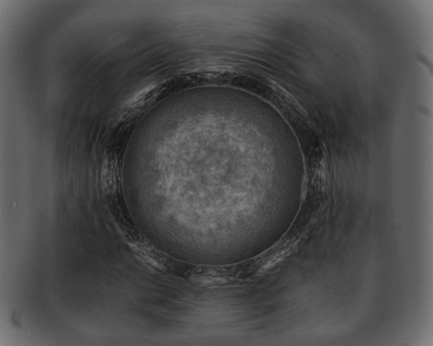 X0000093101014200709261226