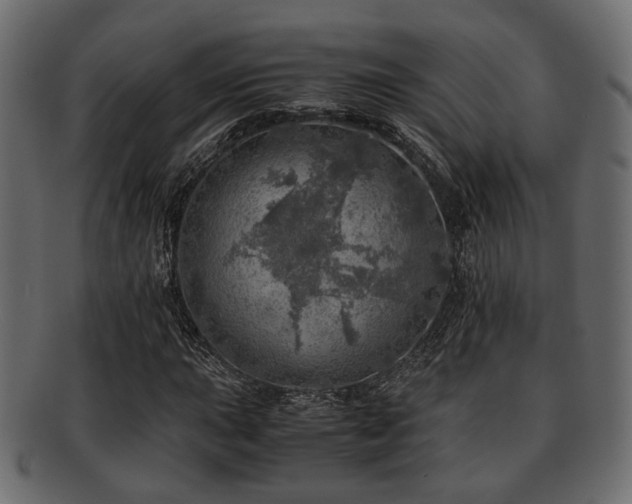 X0000093101015200709261226