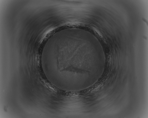 X0000093101016200709261226