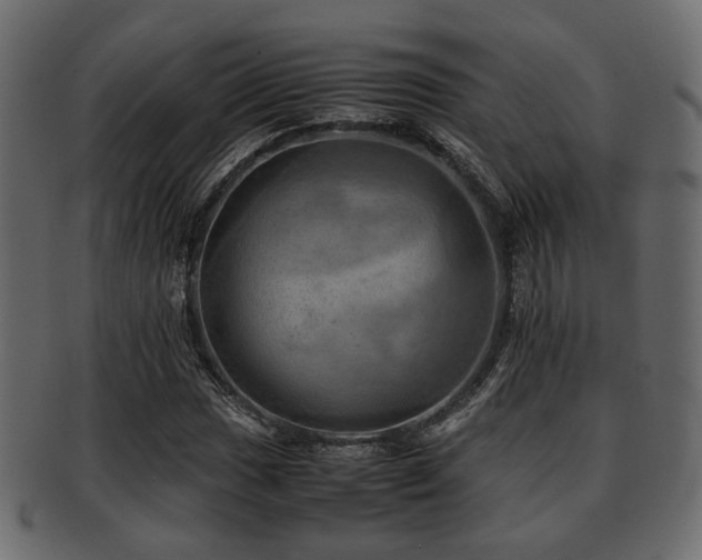 X0000093101017200709261226