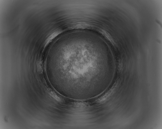 X0000093101018200709261226