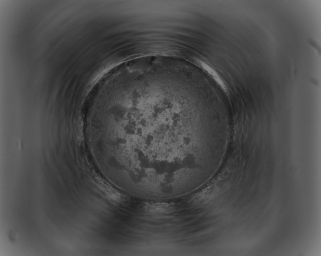 X0000093101019200709261226