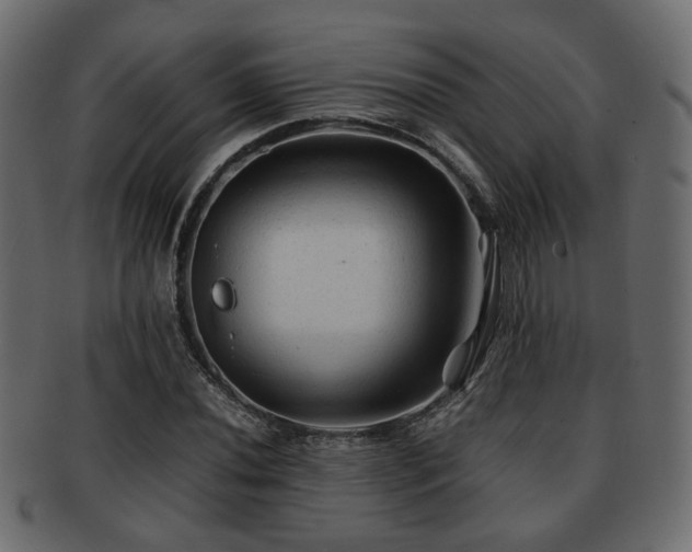 X0000093101020200709261226