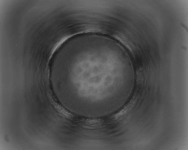 X0000093101021200709261226