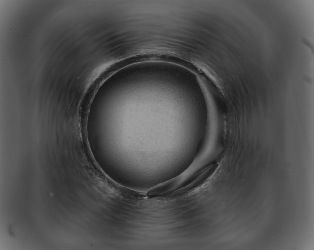 X0000093101022200709261226