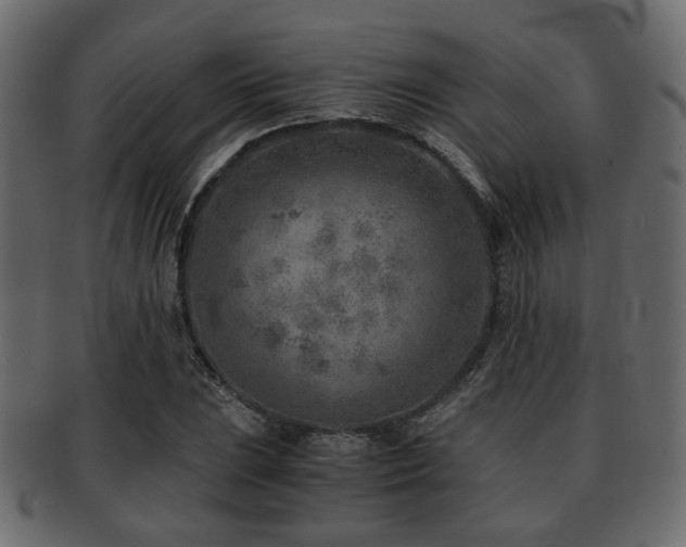 X0000093101023200709261226