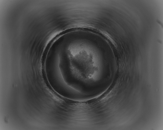 X0000093101024200709261226