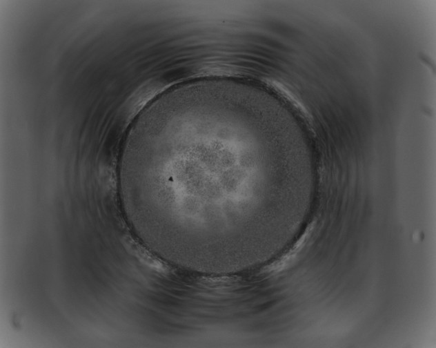 X0000093101025200709261226
