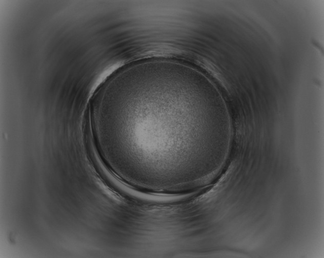 X0000093101026200709261226