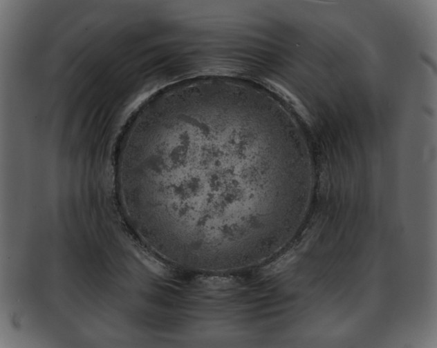 X0000093101027200709261226