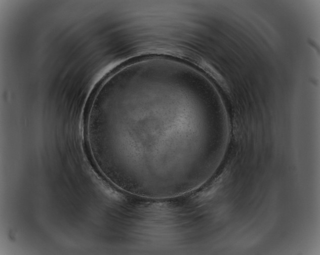 X0000093101028200709261226