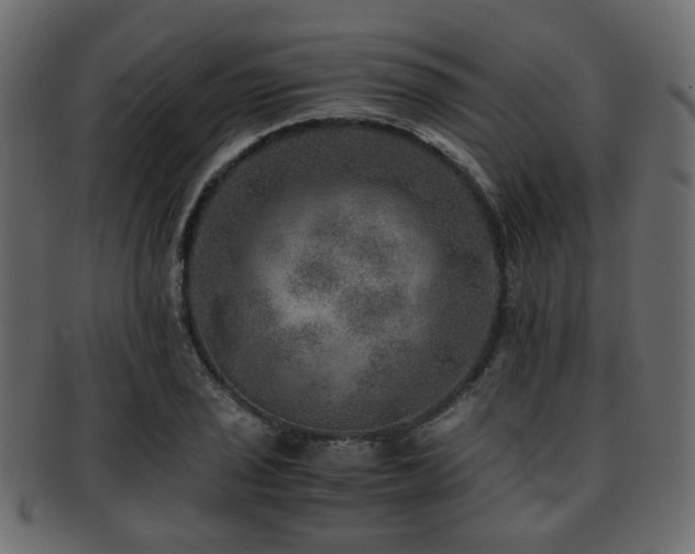X0000093101029200709261226