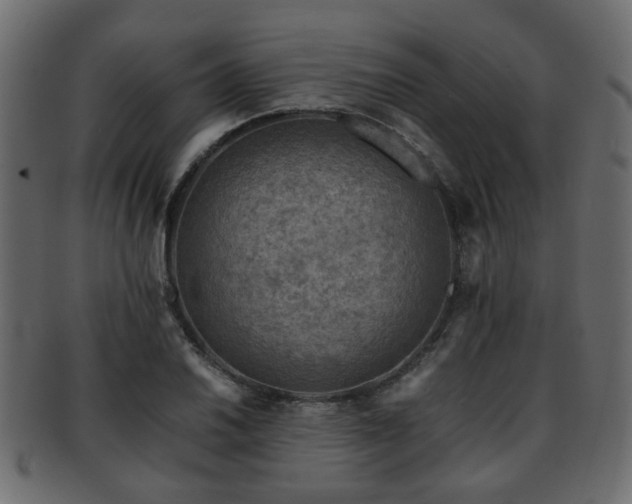 X0000093101030200709261226