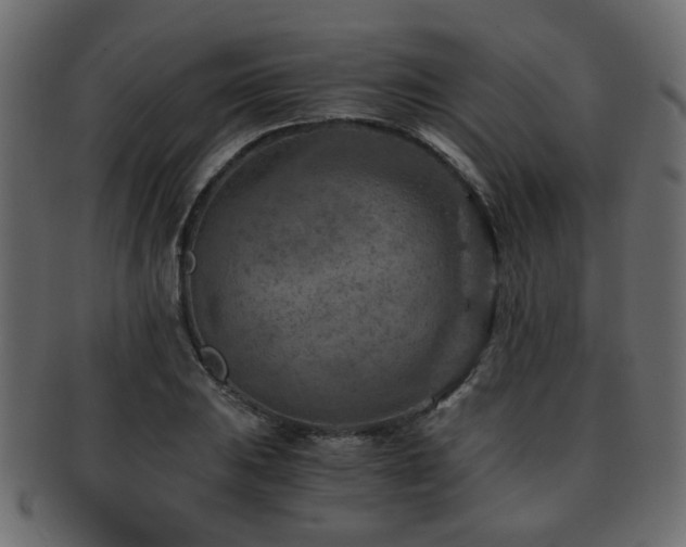 X0000093101031200709261226