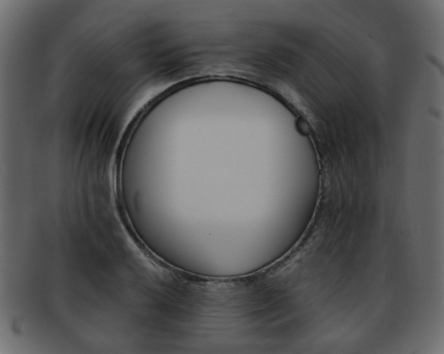 X0000093101032200709261226