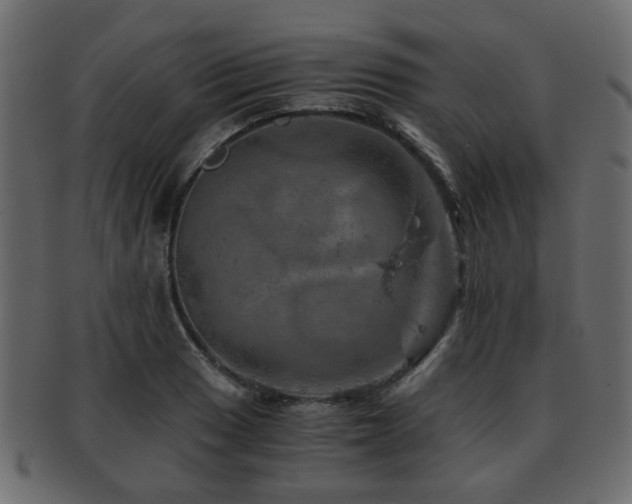 X0000093101033200709261226