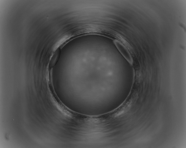 X0000093101034200709261226