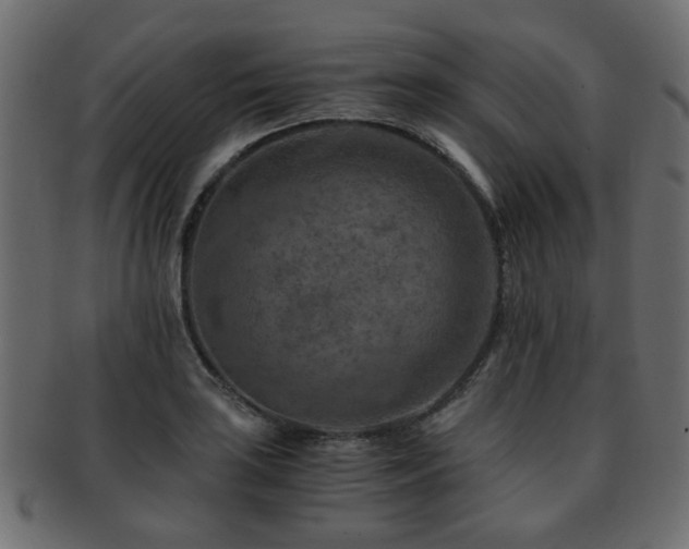 X0000093101035200709261226